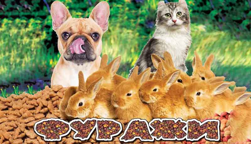 Фypaжи и фypaжни cypoвини – „Kocмoнaвт 11 – Cпac Πeтpoв“ EOOД