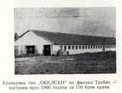 Нов краварник в с. Требич